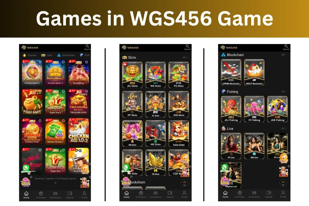 mini games in wgs456 game apk